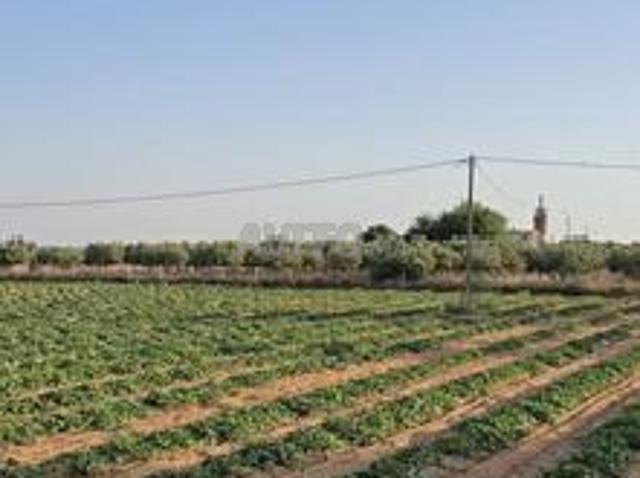 Terrain agricole équipé à vendre dans la commune de Maqam Tlab