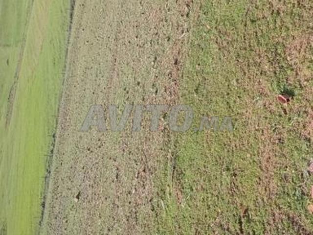 Terrain agricole équipé à vendre, superficie deux hectares