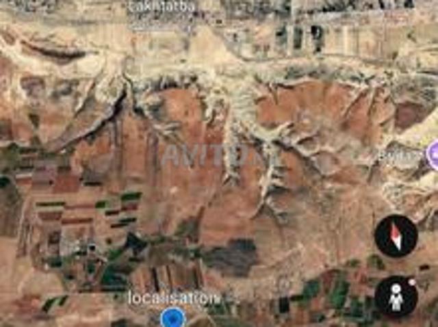 Terrain agricole irrigué de 11 hectares à vendre