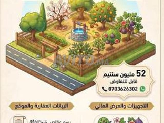 Terrain agricole planté et titré à Koldman