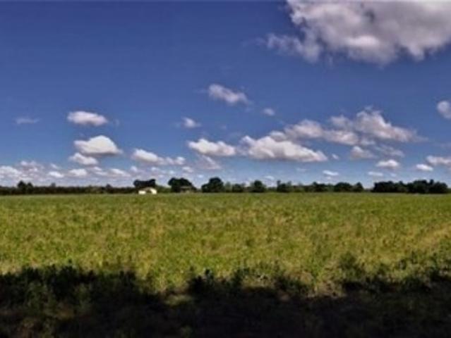 Terrain agricole plat d'un seul tenant de 11,93 hectares