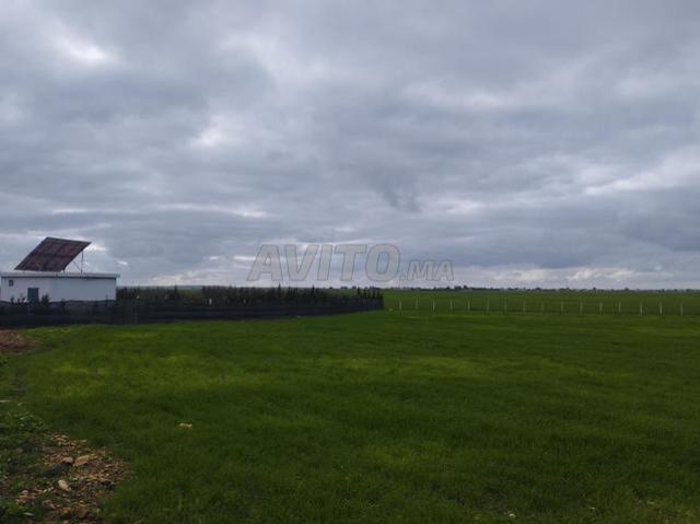Terrain agricole pour ferme
