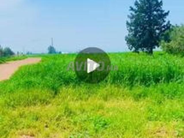 Terrain agricole près de l'autoroute Casablanca Khouribga