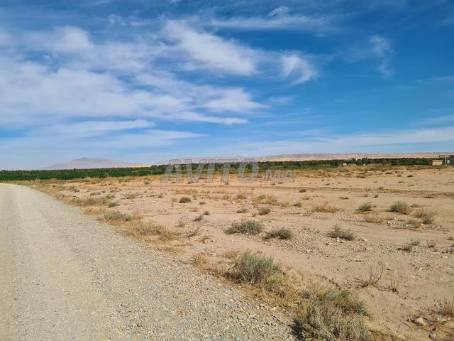Terrain agricole prix à l'hectare