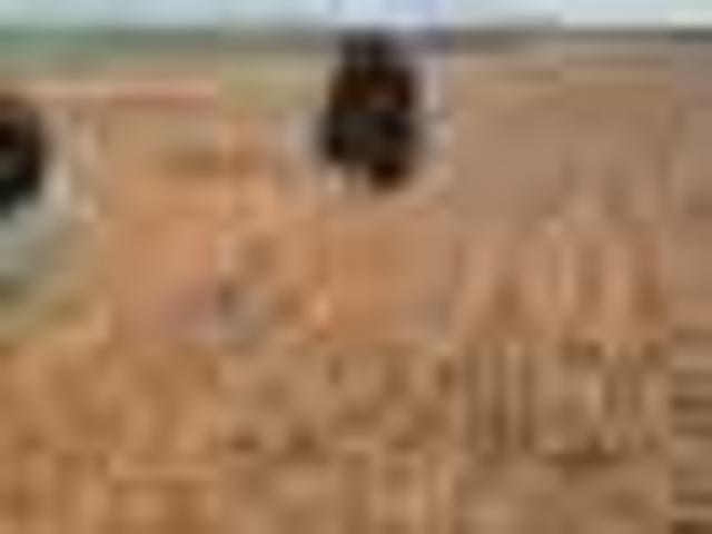 Terrain agricole région Settat