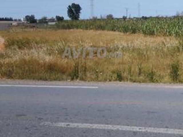 Terrain agricole route Sidi Yahya Zaer