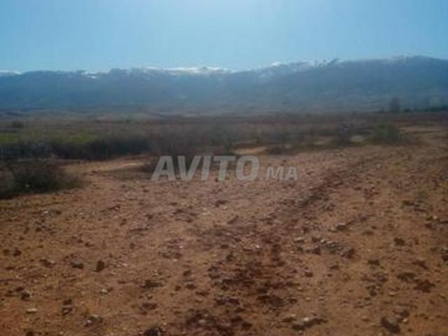 Terrain agricole royal