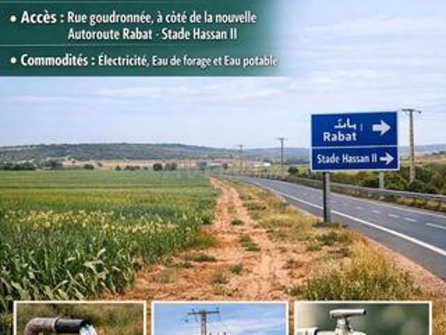 Terrain agricole Superficie 160000 m²