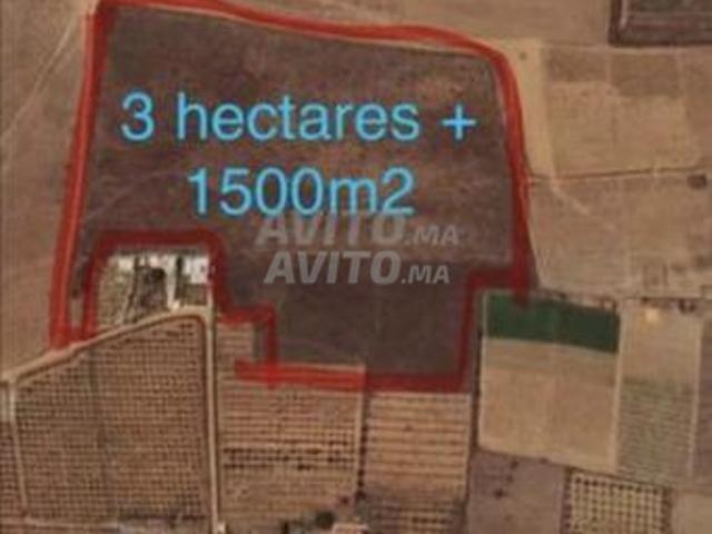 Terrain agricole sidi allal bahraoui