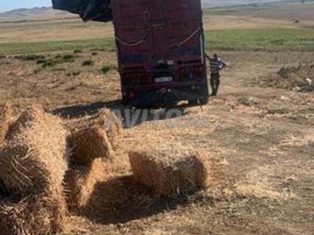 Terrain Agricole Tanger