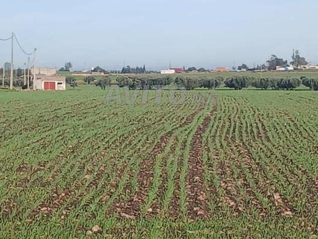 Terrain agricole Thiter Fonsi 220 million avec un puits