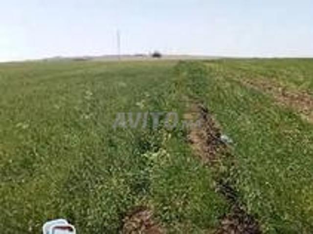 Terrain agricole Tirs
