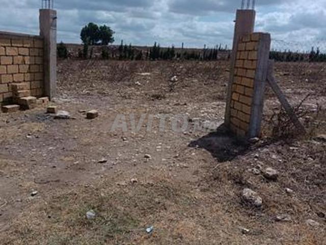 Terrain agricole titré avec puits 6820 m2