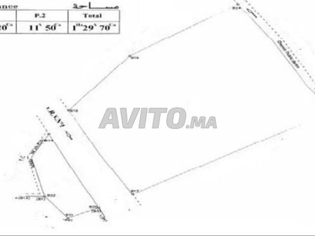 Terrain agricole titré à vendre à Essaouira 1,3 Ha