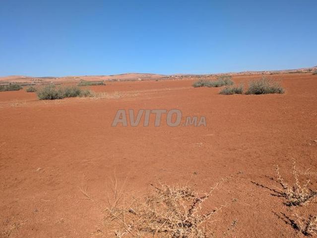Terrain agricole titré à vendre