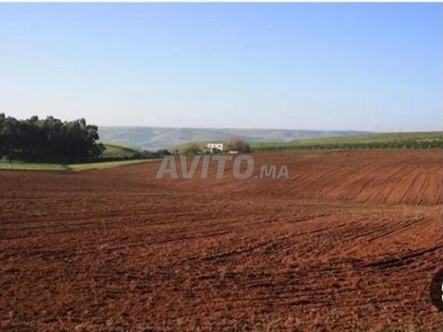 Terrain agricole titré à vendre