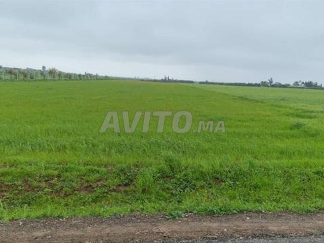 Terrain agricole titré à vendre