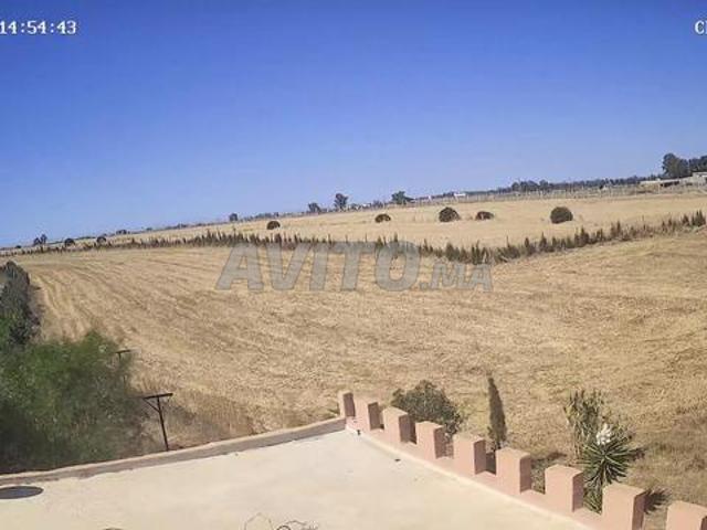 Terrain agricole titré dans un endroit calme près de Benslimane