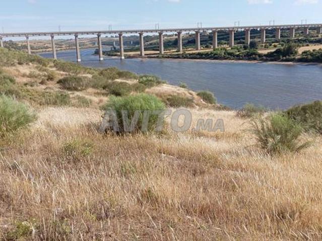 Terrain agricole titré exceptionnel sur la rive de l'Oued Oum Errabia