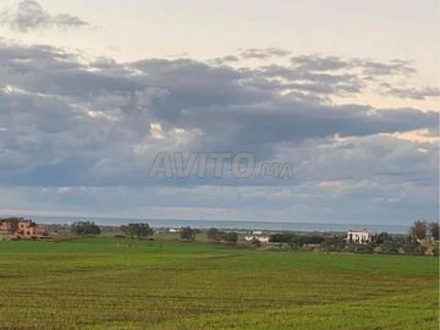Terrain agricole titre foncier vue sur mer