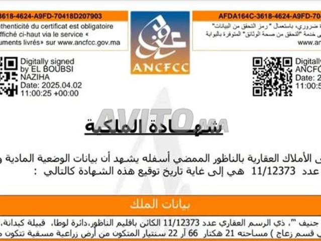 Terrain Agricole titré 21,66Ha à Nador