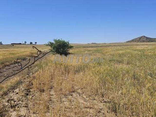 Terrain agricole titré