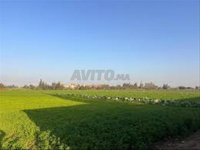 Terrain agricole titré