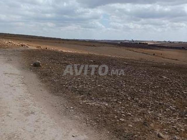 Terrain agricole titré 6000m2 2929 m²m2