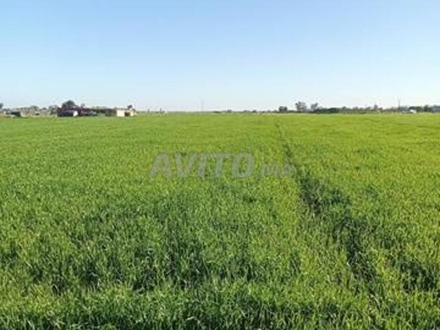 Terrain agricole titré
