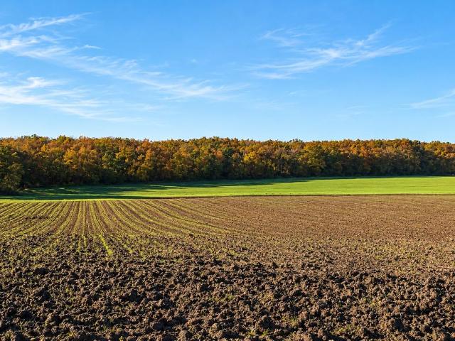 Terrain agricole