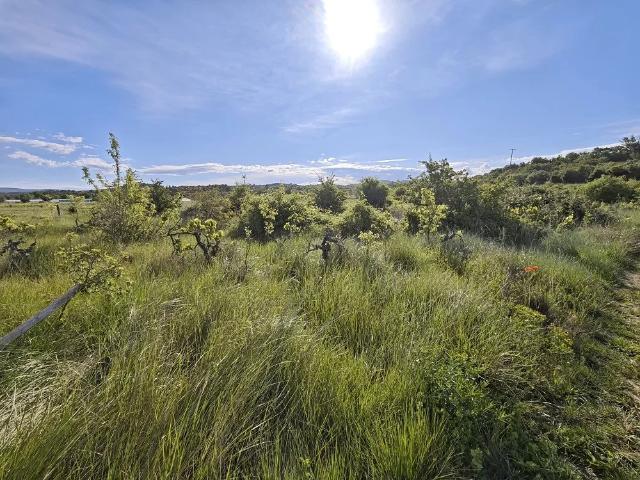 Terrain Agricole