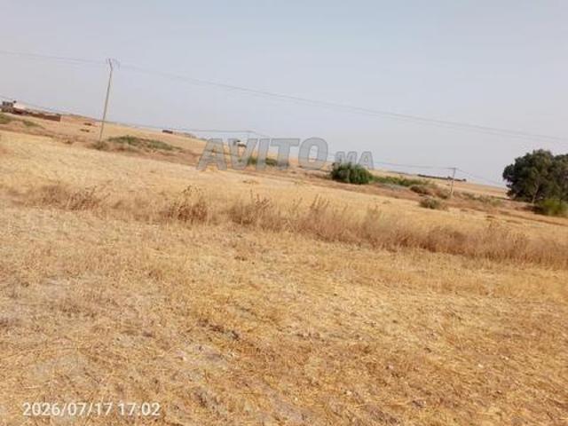 Terrain agricole