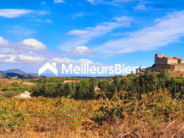 Terrain agricole 10 695 m² à Montalba le Château