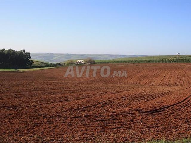 Terrain agricole