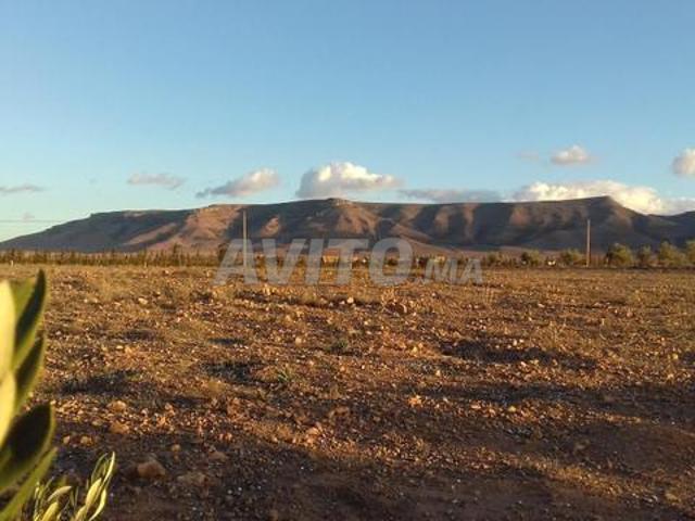 Terrain agricole 12500 m² à Sidi Moussa