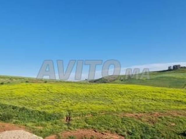 Terrain agricole 1 hectare et plus à vendre
