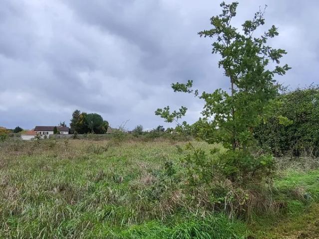 TERRAIN AGRICOLE