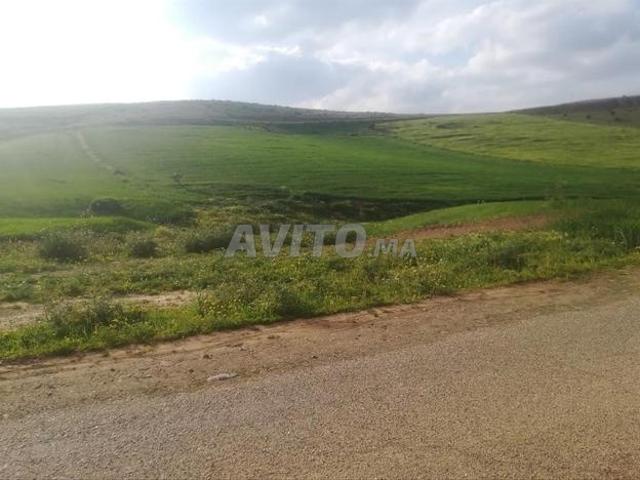 Terrain agricole