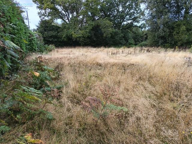TERRAIN AGRICOLE