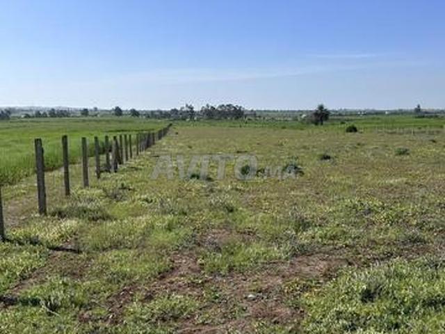Terrain agricole 2.4 ha à vendre titré