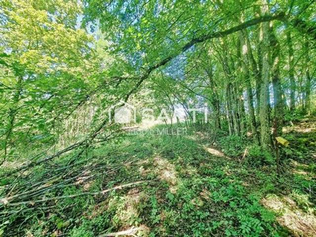 Terrain agricole 2 593m²