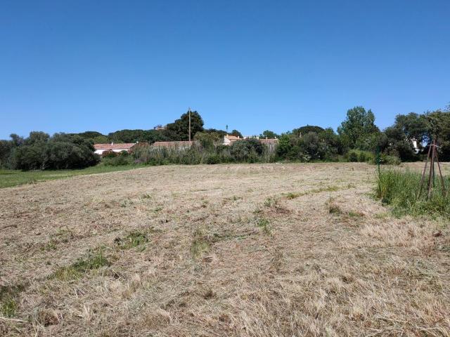 Terrain agricole