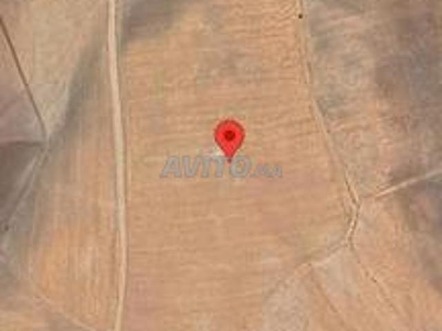 Terrain agricole