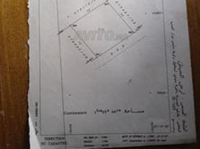 Terrain agricole