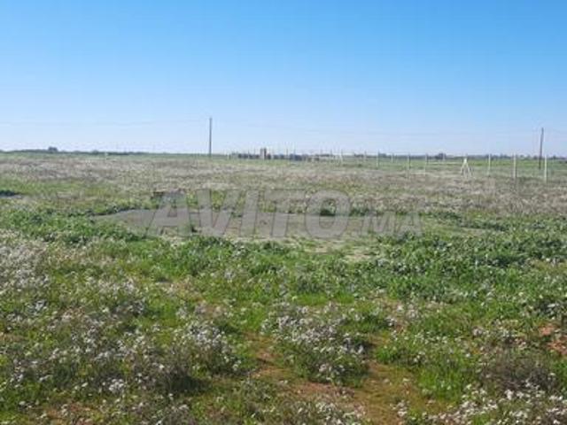 Terrain agricole 3 Hectare titre tiflet