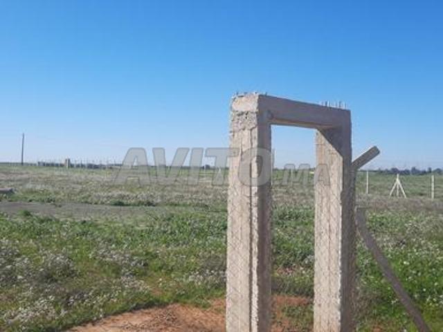 Terrain agricole 3 Hectare titre à vendre tiflet