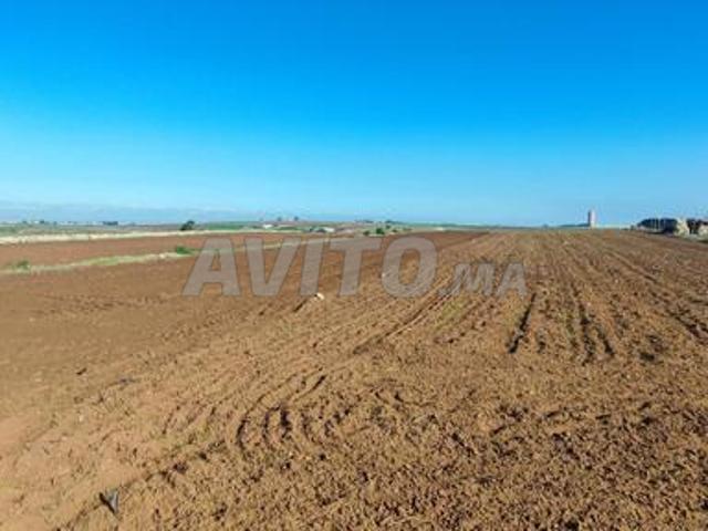 Terrain agricole 3'khadama' 9 kilomètres