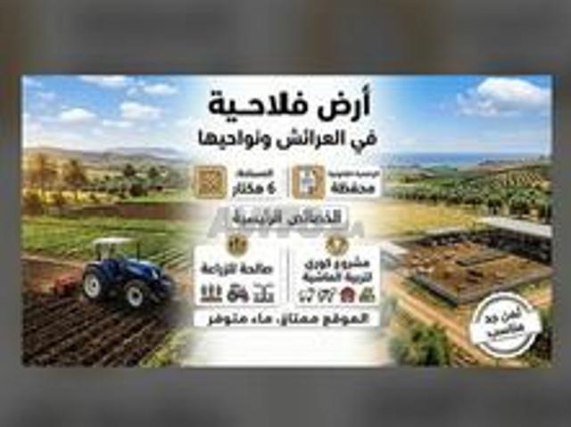 Terrain agricole