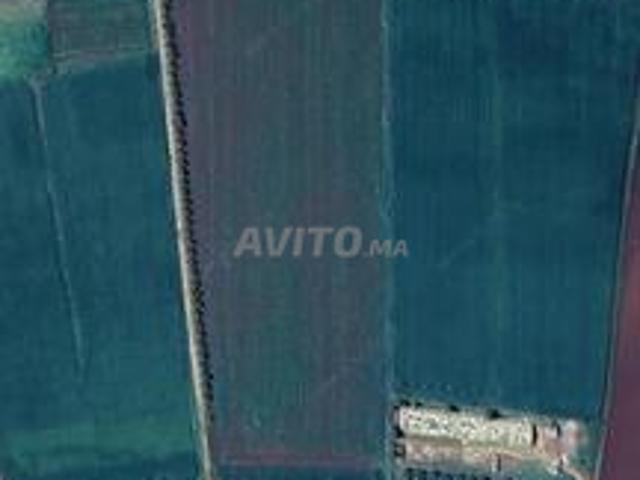 Terrain agricole