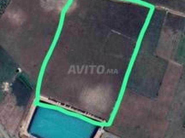 Terrain agricole